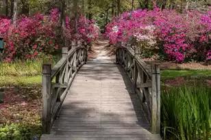 205 Holly Inn Rd, Summerville, SC 29483 - Photo 81