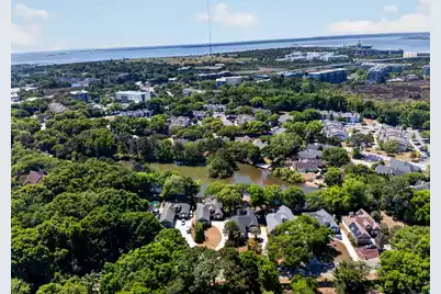 691 Blue Heron, Mount Pleasant, SC 29464 - Photo 41