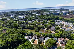 691 Blue Heron, Mount Pleasant, SC 29464 - Photo 41