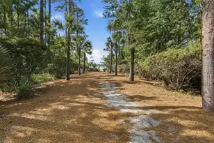 1277 Hermit Crab Way, Mount Pleasant, SC 29466 - Photo 49