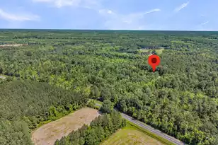 0 Wire Rd, Reevesville, SC 29471 - Photo 1
