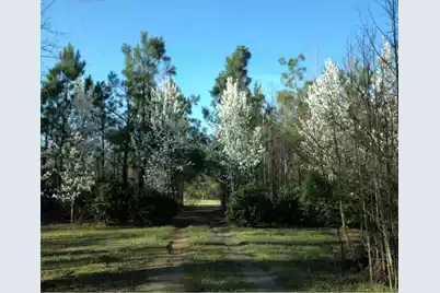 0 Wire Road, Reevesville, SC 29471 - Photo 11