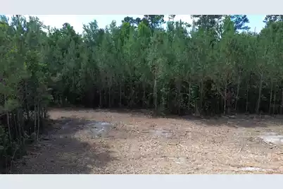 1 Highway 311, Cross, SC 29436 - Photo 5