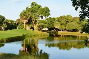 4 Sandpiper Ct, Isle Of Palms, SC 29451 - Photo 19