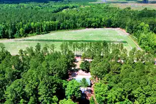 1970 Cross Swamp Rd, Lodge, SC 29082 - Photo 1