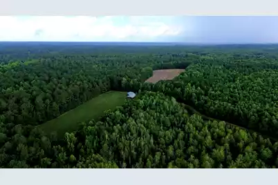 1970 Cross Swamp Road, Lodge, SC 29082 - Photo 121