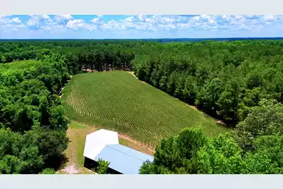 1970 Cross Swamp Road, Lodge, SC 29082 - Photo 105