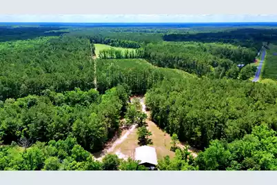 1970 Cross Swamp Road, Lodge, SC 29082 - Photo 71