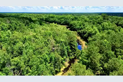 1970 Cross Swamp Road, Lodge, SC 29082 - Photo 69