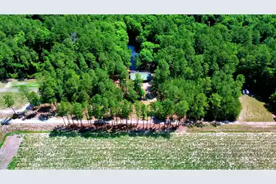 1970 Cross Swamp Road, Lodge, SC 29082 - Photo 5