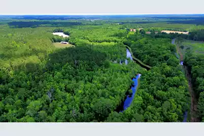 1970 Cross Swamp Road, Lodge, SC 29082 - Photo 59