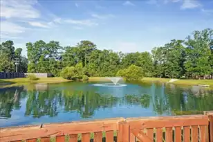 1309 Enfield Ln, Mount Pleasant, SC 29466 - Photo 51