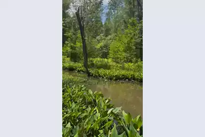 0 Gardenia Road #00, Blackville, SC 29817 - Photo 1