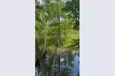 0 Gardenia Road #00, Blackville, SC 29817 - Photo 5