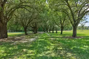 1132 Ackerman Dr, Summerton, SC 29148 - Photo 49