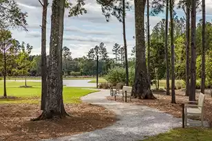 1036 Red Turnstone Run, Summerville, SC 29485 - Photo 57