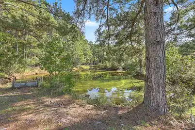 8450 Doar Road, Awendaw, SC 29429 - Photo 13