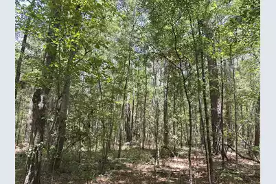 00 Highway 17A, Bonneau, SC 29431 - Photo 9