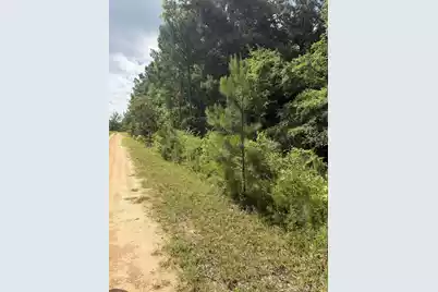 0 Norway Road, Orangeburg, SC 29115 - Photo 5