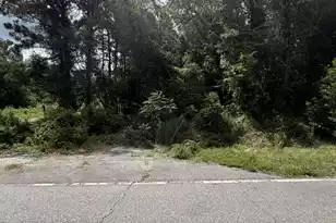 0 Norway Rd, Orangeburg, SC 29115 - Photo 1