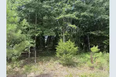 0 Norway Road, Orangeburg, SC 29115 - Photo 3