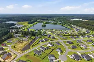 154 Darby Mdw Ln, Ridgeville, SC 29472 - Photo 49