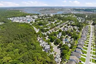 110 Franklin Retreat Ct, Charleston, SC 29492 - Photo 43