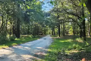 209 Ash Hill Dr, Eutawville, SC 29048 - Photo 9