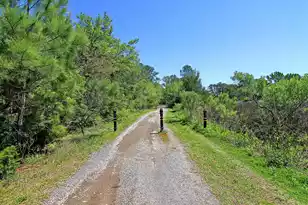 1053 Victoria Rd, Wando, SC 29492 - Photo 45