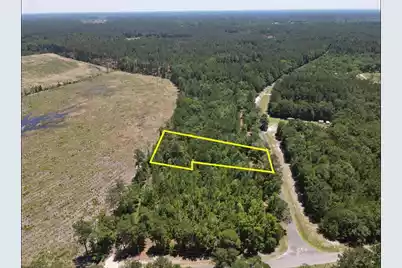 0 Tumbleweed Rd, Smoaks, SC 29481 - Photo 3