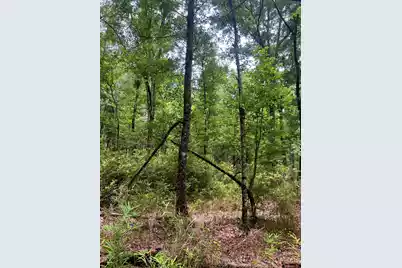 2150 Hughes Drive, Cottageville, SC 29435 - Photo 13
