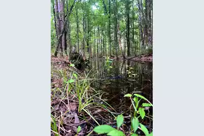 2150 Hughes Drive, Cottageville, SC 29435 - Photo 17