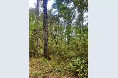 2150 Hughes Drive, Cottageville, SC 29435 - Photo 9