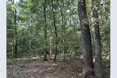0 Swamp Fox Drive, Summerville, SC 29485 - Photo 13