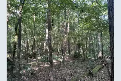 0 Swamp Fox Drive, Summerville, SC 29485 - Photo 19