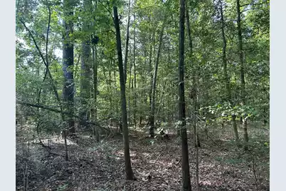 0 Swamp Fox Drive, Summerville, SC 29485 - Photo 11