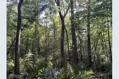 0 Swamp Fox Drive, Summerville, SC 29485 - Photo 23