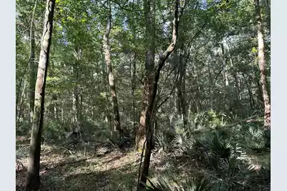 0 Swamp Fox Drive, Summerville, SC 29485 - Photo 25