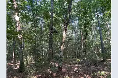 0 Swamp Fox Drive, Summerville, SC 29485 - Photo 3