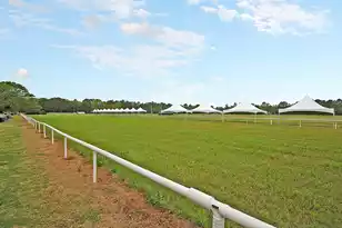 4991 Timber Race Course, Hollywood, SC 29449 - Photo 65