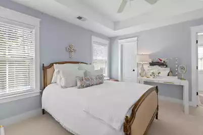 461 Bramson Court, Mount Pleasant, SC 29464 - Photo 29