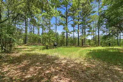 1530 Catfish Lane, Manning, SC 29102 - Photo 29