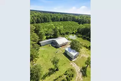 1566/1966 Hoffman Drive, Manning, SC 29102 - Photo 43