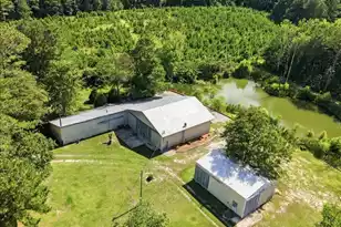 1566/1966 Hoffman Dr, Manning, SC 29102 - Photo 43