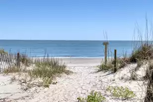 9002 Palmetto Dr, Isle Of Palms, SC 29451 - Photo 31