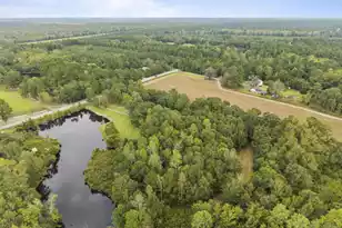 3401 Santee River Rd, Saint Stephen, SC 29479 - Photo 45
