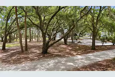 14 Hammocks Way, Edisto Island, SC 29438 - Photo 1