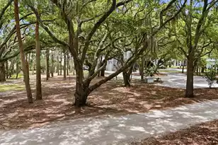 14 Hammocks Way, Edisto Island, SC 29438 - Photo 1