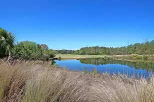 2618 Kiln Creek Cir, Mount Pleasant, SC 29466 - Photo 57