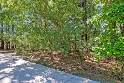 0 Marsh Flower Lane, Charleston, SC 29414 - Photo 5